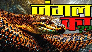 AMAZON Jungle के 7 दानव😲😲 जो रहते हैं खून के प्यासे  Rare Animals of the Amazon Forest🥺🥺  Facts [upl. by Eirrac373]