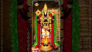 Venkateswara Swamy Songs  Sri Venkateswara Stotram  YTShorts  Lord Balaji Songs  Devotional TV [upl. by Anamor]