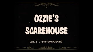 archiveozziesscarehouseadvert1956 Investigation Ursidae Teaser [upl. by Yrtneg]