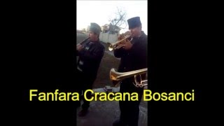 Fanfara Cracana Bosanci 2014  Partea 1 trompeta noua [upl. by Rivi]