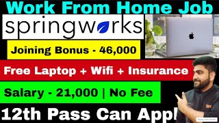 SpringWorks  Work From Home Jobs  12th Pass Job  Online Jobs at Home  Part Time Job  Job  Jobs [upl. by Ahtoelc]