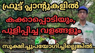 പഴച്ചെടികളുണ്ടെങ്കിൽ നിശ്ചയമായും അറിഞ്ഞിരിക്കണംfruitsplantsplantationsoil pHjeevamrutham [upl. by Dorin304]