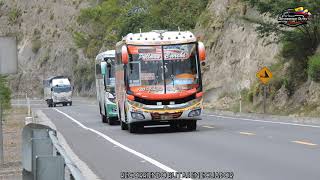 Carrera de buses carreras de buses [upl. by Subak]