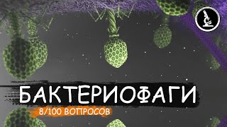 КАК ДЕЙСТВУЕТ БАКТЕРИОФАГ ВИРУС УБИЙЦА ИЛИ СПАСИТЕЛЬ [upl. by Arinaid691]