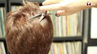 How to Thin Out Thick hair  Haircutting Techniques [upl. by Anatnas11]