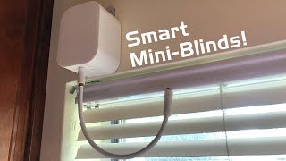 Make Your MiniBlinds Smart with Soma Tilt [upl. by Norine]