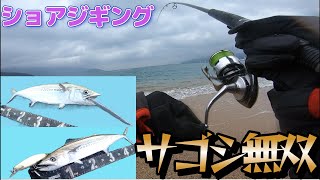 サゴシ無双 ショアジギング Maya Melpharia ぽんなげ 釣り Handmade fishing lure [upl. by Allevon]