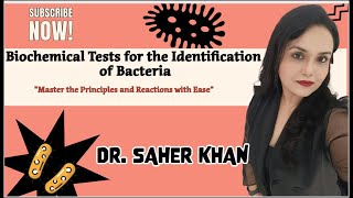 Biochemical Tests  IMViC  Microbiology  Indole  MR  VP  Citrate  BY Dr SAHER KHAN [upl. by Valerle]