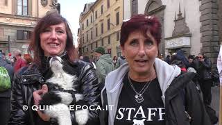 XXI Raduno Nazionale cani terranova Viterbo [upl. by Acirat]