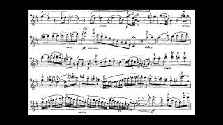 N PAGANINI Concerto opus 6 nº 1 2ºmov [upl. by Ttenneb]