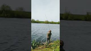 Big bream on Walthamstow wetlandsgardenertackleuk [upl. by Aranahs]