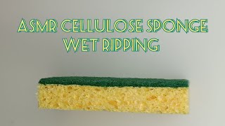 ASMR  Cellulose Sponge Wet Ripping 💚💛 [upl. by Oneg802]