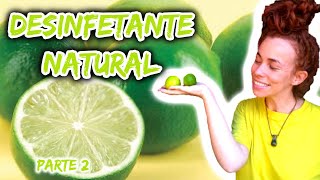 Desinfetante natural vegano e lindo  PARTE 2 [upl. by Schechter563]