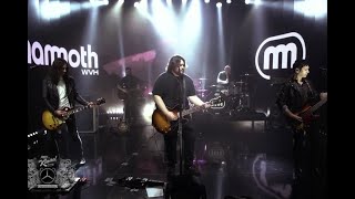 Mammoth WVH Performs Eddie Van Halen Tribute Distance on Kimmel [upl. by Hazeghi]