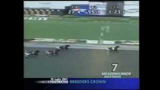 Varenne Breeders Crown Open Trot 2001 [upl. by Tudela403]