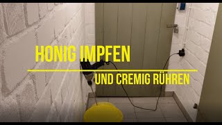 Honig impfen und cremig rühren [upl. by Atnohsal760]