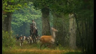 35000 Jahre Hund Vom Jagd zum Assistenzhund [upl. by Pepita]