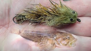 Tying an Articulated Short Strike Sculpin Fly Fly tying so easy a 3rd grader can do it [upl. by Rattray]