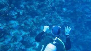 Diving In Sharm El Sheikh Egypt [upl. by Maudie168]