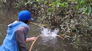 2 HARI MANCING IKAN TOMAN IKAN KERANDANG [upl. by Lisabeth]