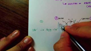 Electrolysis  Basics [upl. by Ahsiya578]