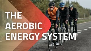 Learn the Aerobic Energy System [upl. by Aknahs363]