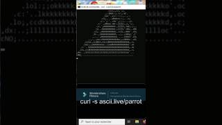 Cmd tricks and hacks windows 10 cmd commands prompt parrot animation hack cmd command win cm [upl. by Cortie]