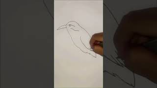 Master Kingfisher Bird Drawing Easy Steps for Beginners [upl. by Aniretak]