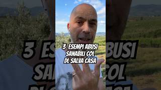 3 esempi abusi sanabili DL Salva Casa carlopagliai [upl. by Nodnerb]