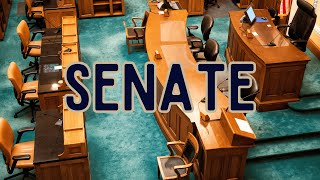 What is the meaning of Senate [upl. by Nomae]