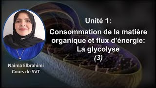 Cours SVT 2Bac Biof Consommation de la matière organique et flux d’énergie Glycolyse 2 SVT et PC [upl. by Admama]