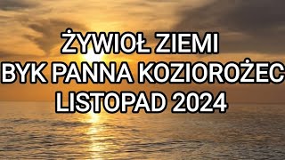 LISTOPAD 2024 BYK PANNA KOZIOROŻEC [upl. by Enotna]