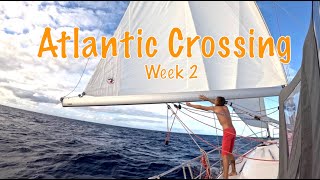 Atlantic Crossing Week 2  Episode 35 [upl. by Atnod459]