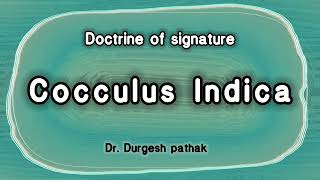 Cocculus indica Doctrine of signature [upl. by Nasia]