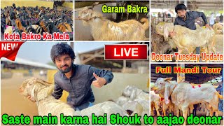 Deonar Bakra Mandi Tuesday Latest Update 12 November 2024  Full Deonar Mandi Tour  Sasta Main Lo [upl. by Retsub]