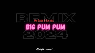 MII GAEL amp DJ ASA  BIG PUM PUM  REMIX 2024 [upl. by Dnalram]