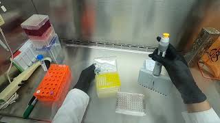 Cytotoxicity Assay [upl. by Dorey]