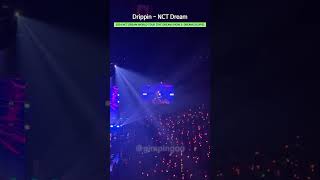 Drippin  NCT Dream 엔시티드림  2024 NCT DREAM WORLD TOUR THE DREAM SHOW 3 DREAM SCAPE [upl. by Luanni498]