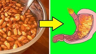 12 alimentos prohibidos para la gastritis la acidez las agruras y el reflujo gastroesofágico [upl. by Nemracledairam]