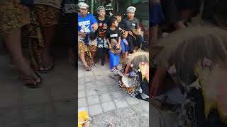 barong kecapekan bali barongan viralvideo barongbali [upl. by Gemma]