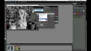 Adjustment Layers in Photoshop Elements Part 1 [upl. by Ahsenor]