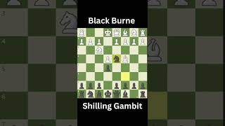 Black Burne Shilling Gambit shorts chess tactics smart funny gambit [upl. by Margreta377]