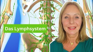 Prüfungswissen Lymphsystem einfach erklärt [upl. by Anaiad]