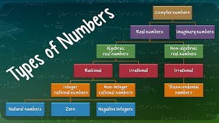 Types of Numbers [upl. by Esiom]