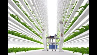 Pepsifying Cannabis And Vertical Farming  Interview With Agrify CEO Raymond Chang [upl. by Py735]