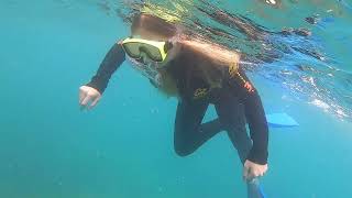 DAYDREAM ISLAND SNORKLING [upl. by Bakerman907]