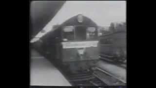 TVT6 Tasmanian Railways 1961 [upl. by Madid]