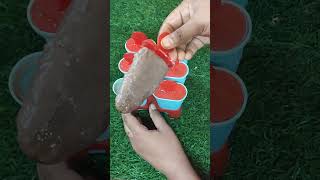 Soya vannila drink Popscile popsicle shortsvideo summerpopsicle trendingshorts youtubeshorts [upl. by Eintihw]