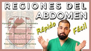 REGIONES ABDOMINALES Hipocondrio Flanco Fosa ilíaca Epigastrio Hipogastrio [upl. by Ellehcar558]