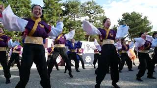 21 佛教大学よさこいサークル紫踊屋 龍馬よさこい2024［４Ｋ］岡崎公園 [upl. by Kirkwood]